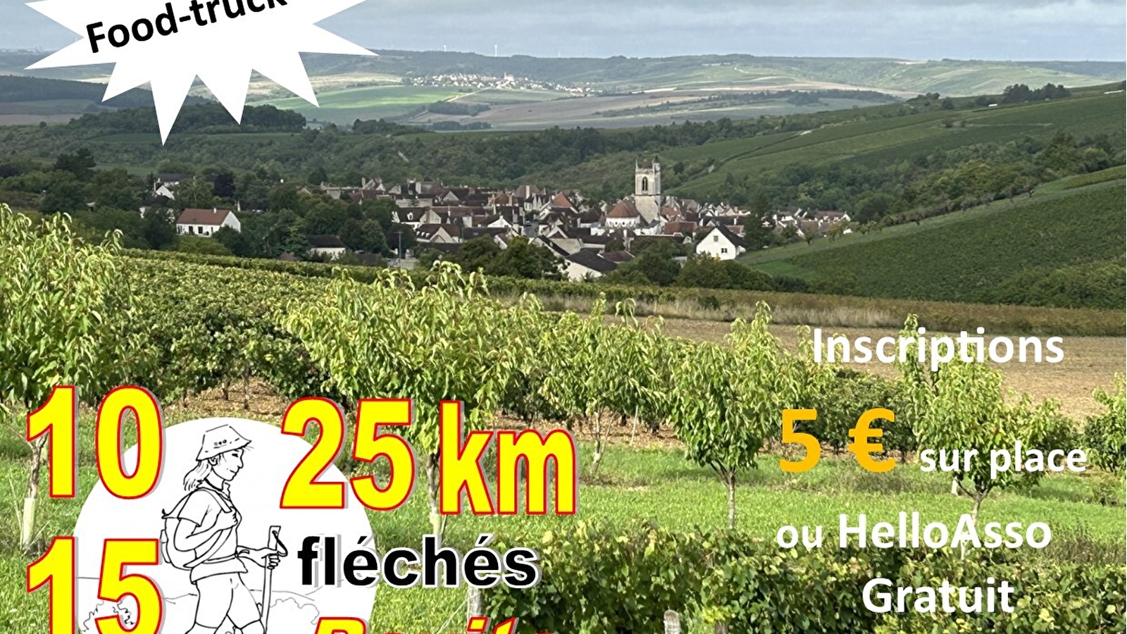 Randonnée pédestre à travers le vignoble d'Irancy