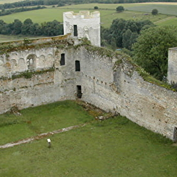 Pour les petits curieux ! - DRUYES-LES-BELLES-FONTAINES