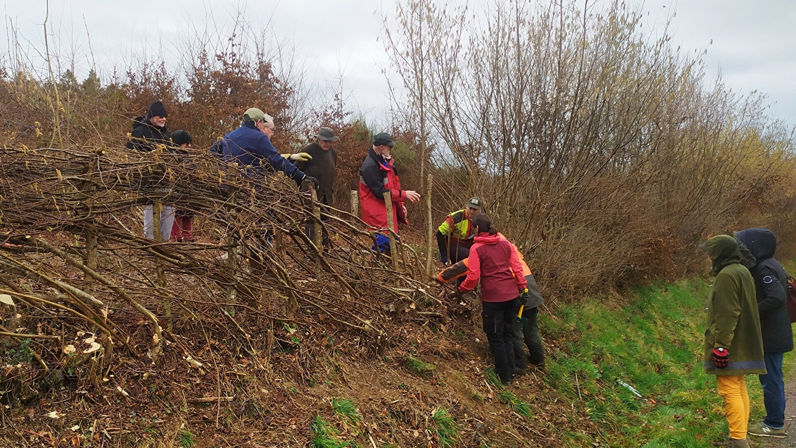 Le Mois de la Plèchie - Saint-Léger-Vauban
