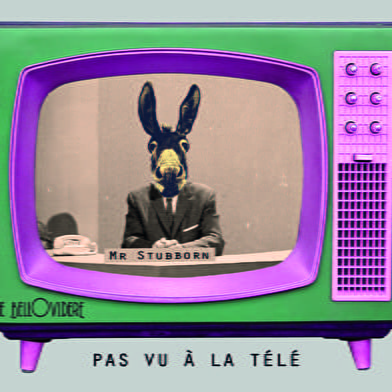 Le Bellovidère