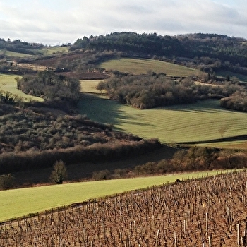 La boucle du vignoble - VEZELAY