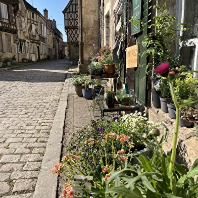 Emmy plantes et déco