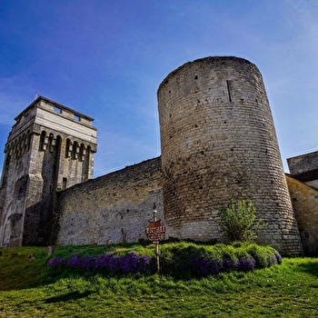 Le journal de Mahaut : Une aventure au Château de Druyes - DRUYES-LES-BELLES-FONTAINES