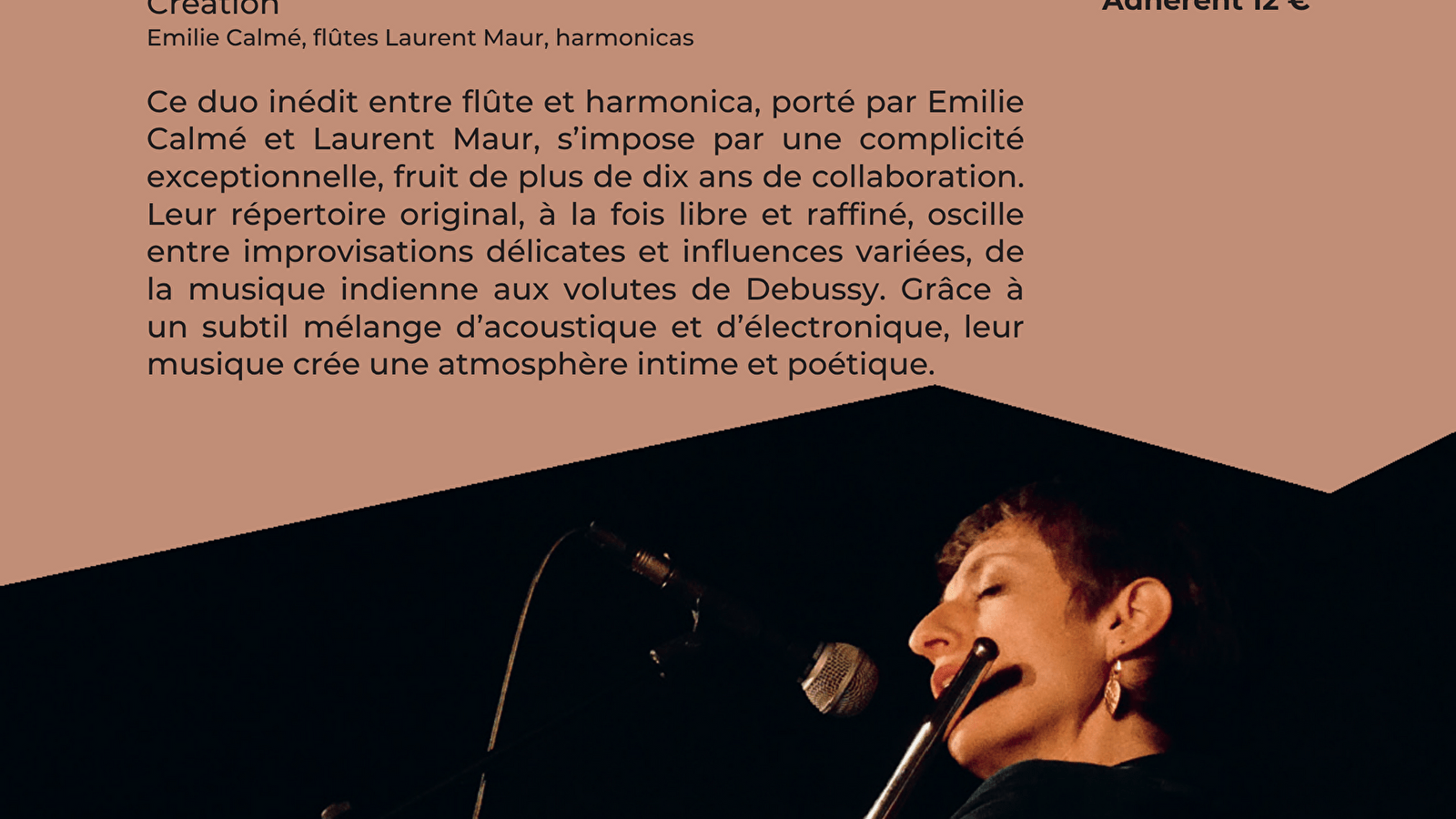 Fantaisie improbable pour Flûtes et Harmonicas