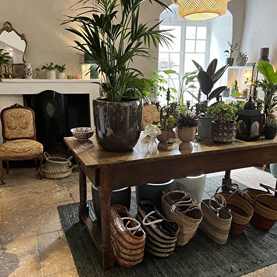 Emmy plantes et déco