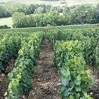 GAVILLON NICOLE - HERY