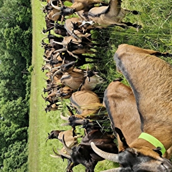Fromagerie de Bréviande - PARLY