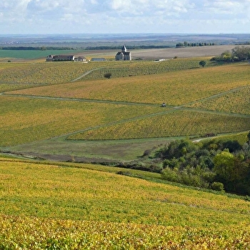 Chevallier - VENOY