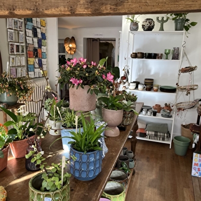 Emmy plantes et déco