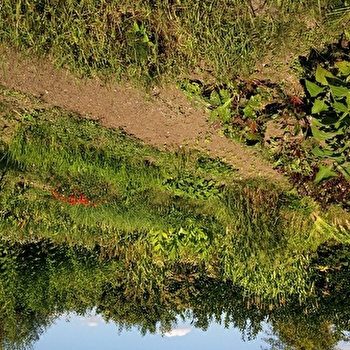 Le Jardin des 5 Sens - SENS