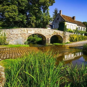 Jardin Ribaudin - MEZILLES