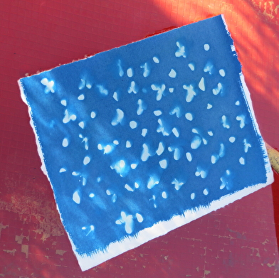 Atelier Cyanotype avec David di paolo