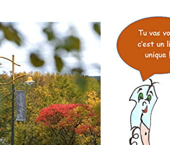 De la récolte du raisin à la mise en bouteille, tu seras incollable sur la fabrication du Crémant ! - SAINT-BRIS-LE-VINEUX