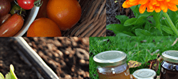 Le Jardin des Thorains - LAVAU