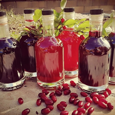 Les Jardins de Villon