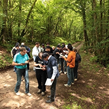 La Grotte de Champ Retard - Course d'Orientation en Forêt d'Hervaux - COUTARNOUX