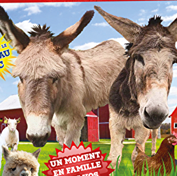 Deviens un véritable petit fermier pour une journée - LES VALLEES DE LA VANNE