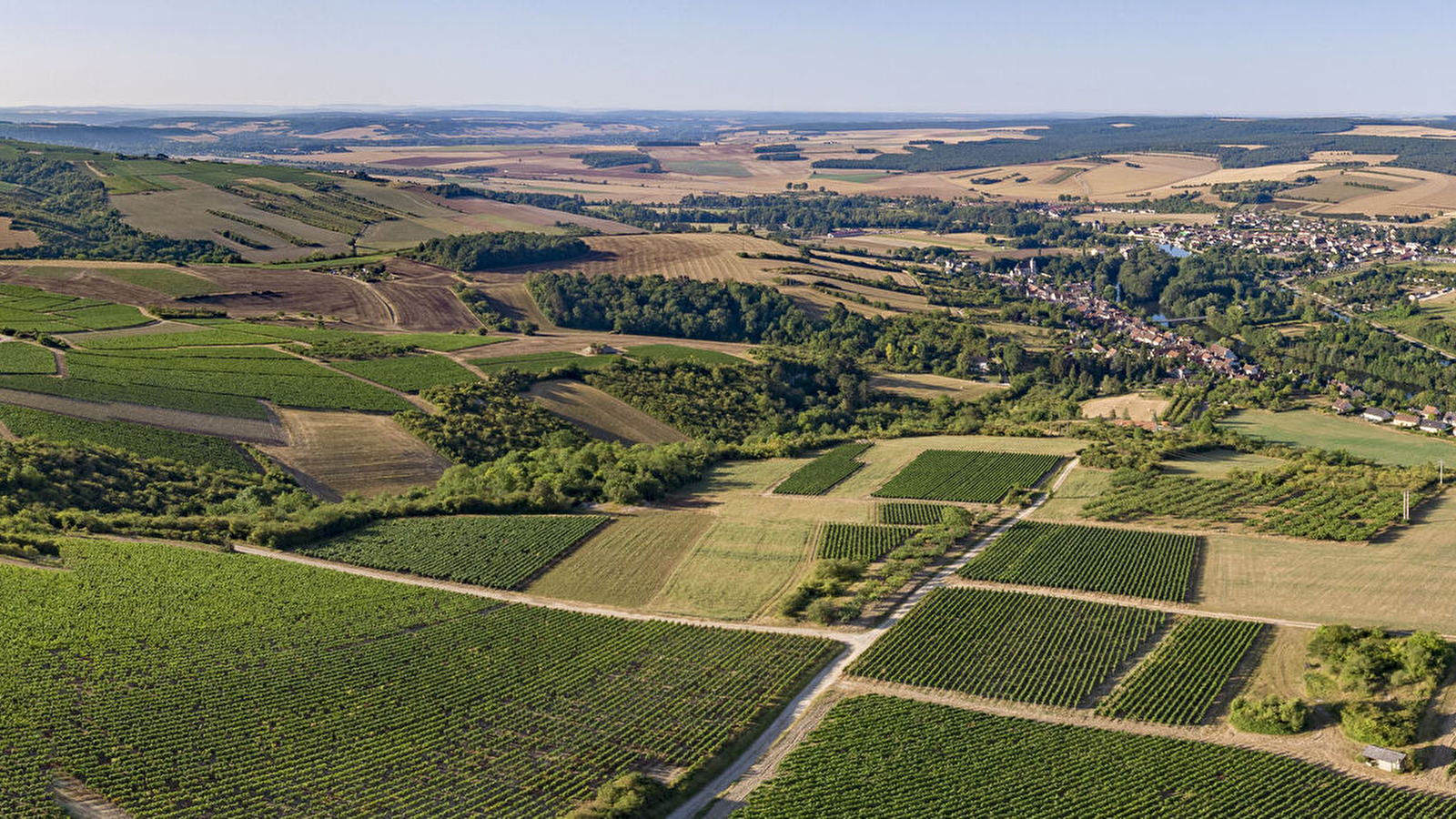 Visite guidée de Vincelottes