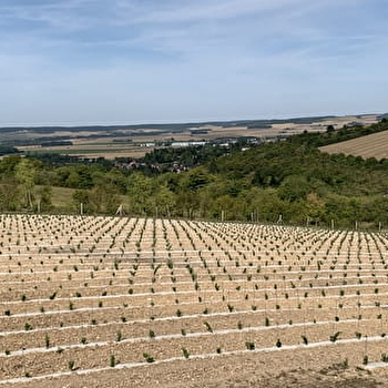 Domaine des Sénons - PARON