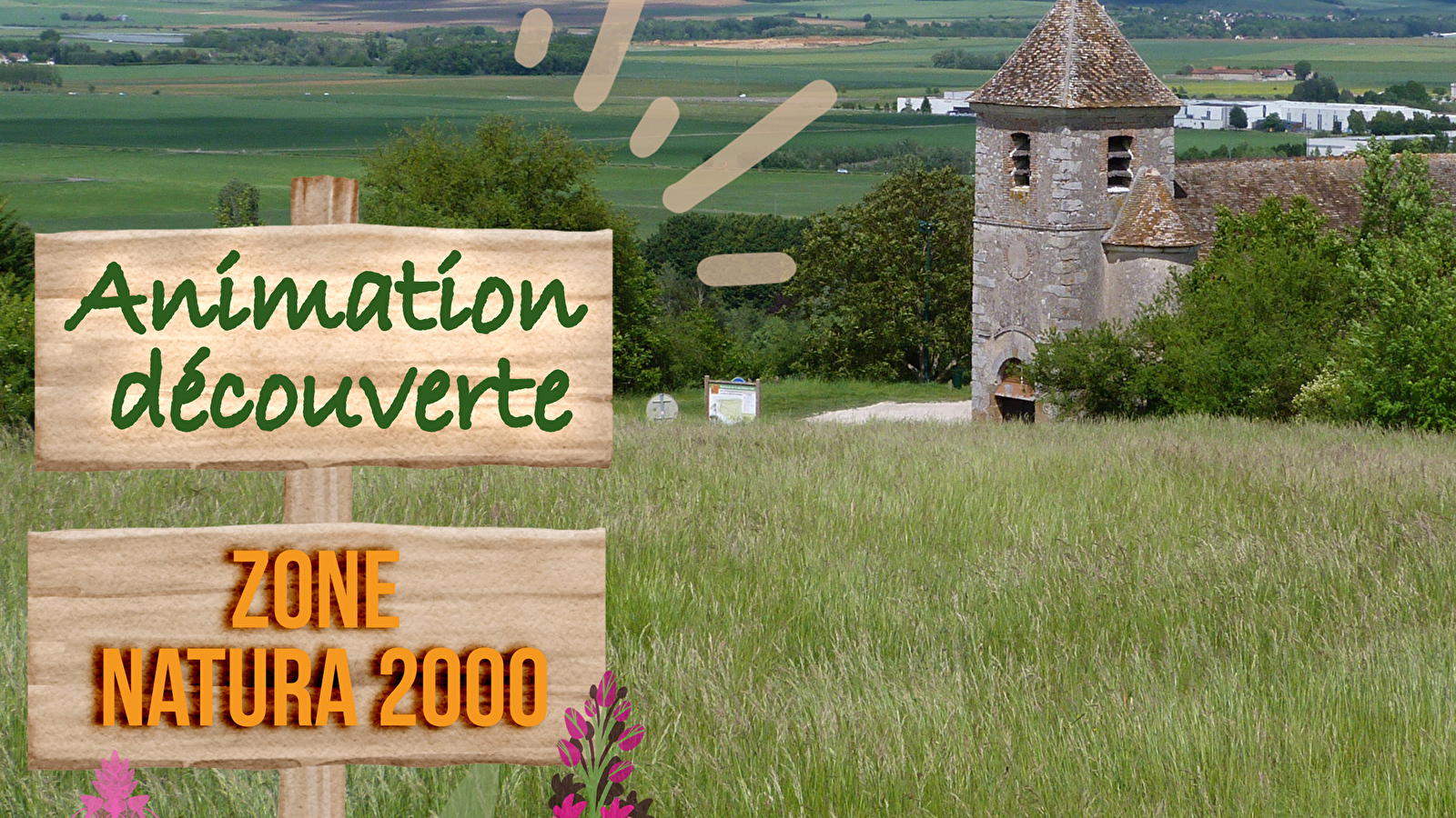 Animation découverte Zone Natura 2000