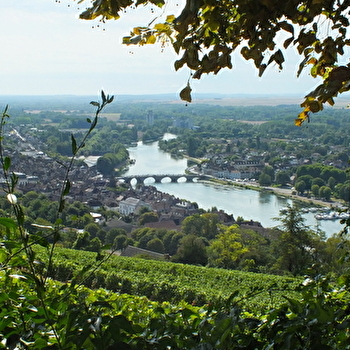 Viens découvrir en famille le patrimoine du territoire Jovinien - JOIGNY
