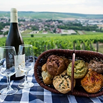 Pyneau Prunutz - AUXERRE