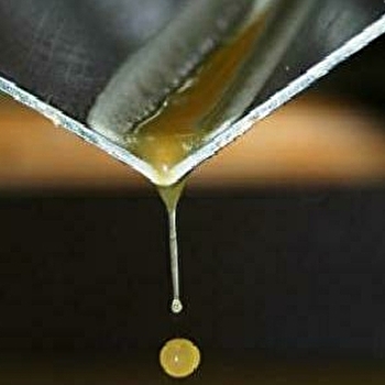 Huilerie Nansot - Saveur Bio Huile - SAINT-PERE