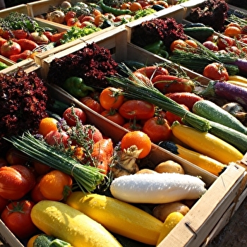 Paniers de Saison - THURY