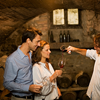 Grapes and corks - TREIGNY-PERREUSE-SAINTE-COLOMBE