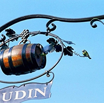 Oudin - CHICHEE