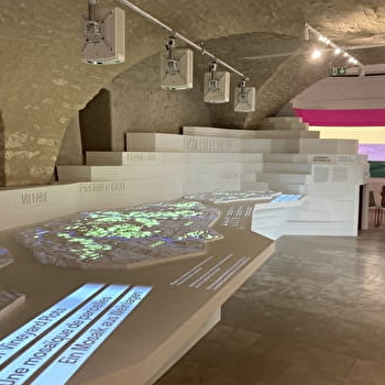 Suis le guide pour tout savoir sur la Bourgogne viticole  - CHABLIS