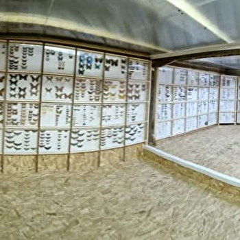 Muséum d'Histoire Naturelle de Puisaye - CHARNY OREE DE PUISAYE