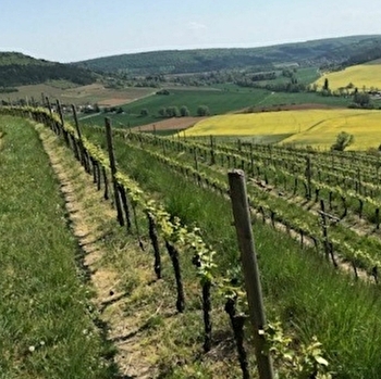 Carré - NOYERS