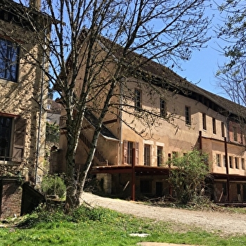 Association Rhizome - AVALLON