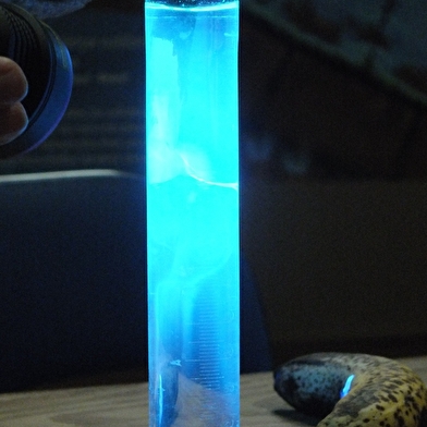 Exploration fluorescente autour de la Pyramide du Loup