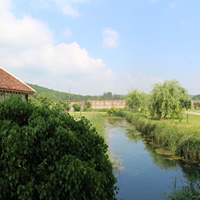 Abbaye de Reigny