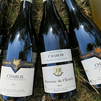 Domaine de l'Erable - Bon Père et Fils - CHEVANNES