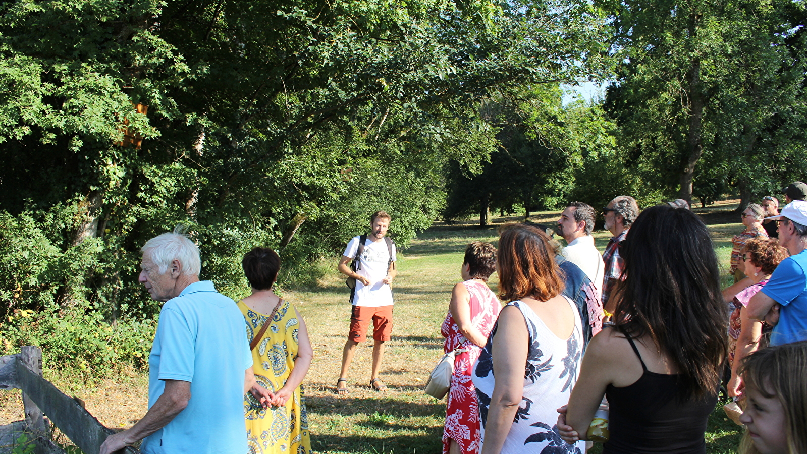 Nuit de la chauve-souris