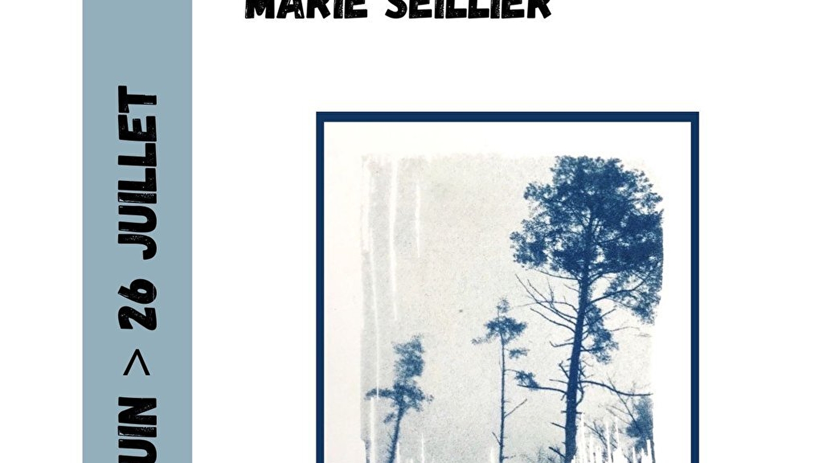 A fleur d'eau - Marie Seillier