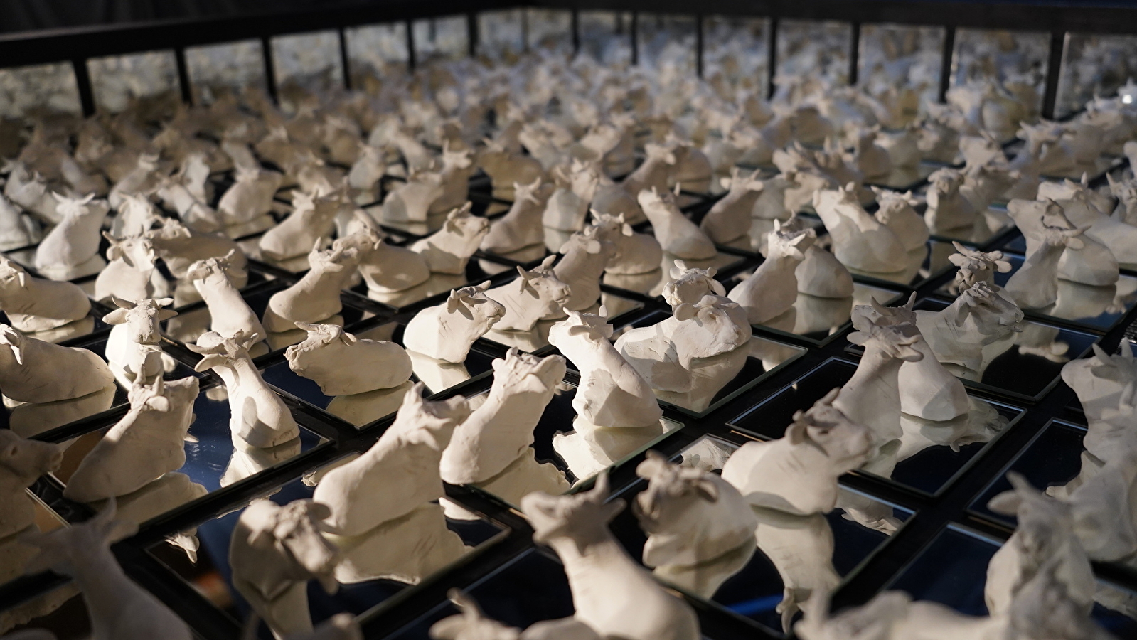 Marguerite - les petites vaches de Belin