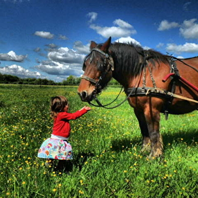 Une journée à la ferme