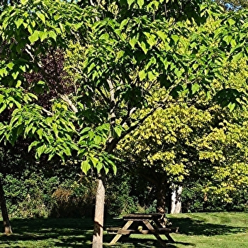 Aire de pique-nique de Cérilly - CERILLY