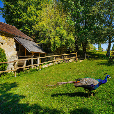 Moulin de Vanneau - Salle de réception