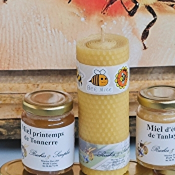 Ruches Simples - DANNEMOINE