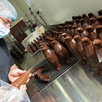 Balade gourmande | Vélo & Douceurs | Visite et dégustation dans une fabrique de biscuits - AUXERRE