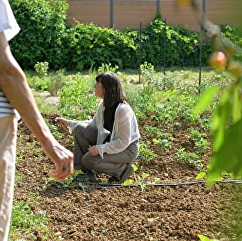 Terre d'Isis - PERRIGNY-SUR-ARMANCON