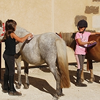 Domaine Equestre Les Grilles - Scolaires et groupes - SAINT-FARGEAU