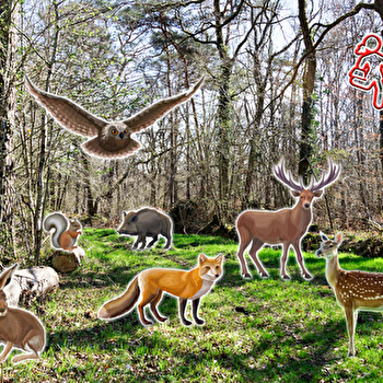 Découvre un village de l’Yonne en t’amusant - VERGIGNY