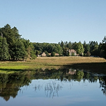 Pars à la conquête d'animaux en liberté et tiens-toi prêt à apercevoir le roi de la forêt ! - TREIGNY-PERREUSE-SAINTE-COLOMBE