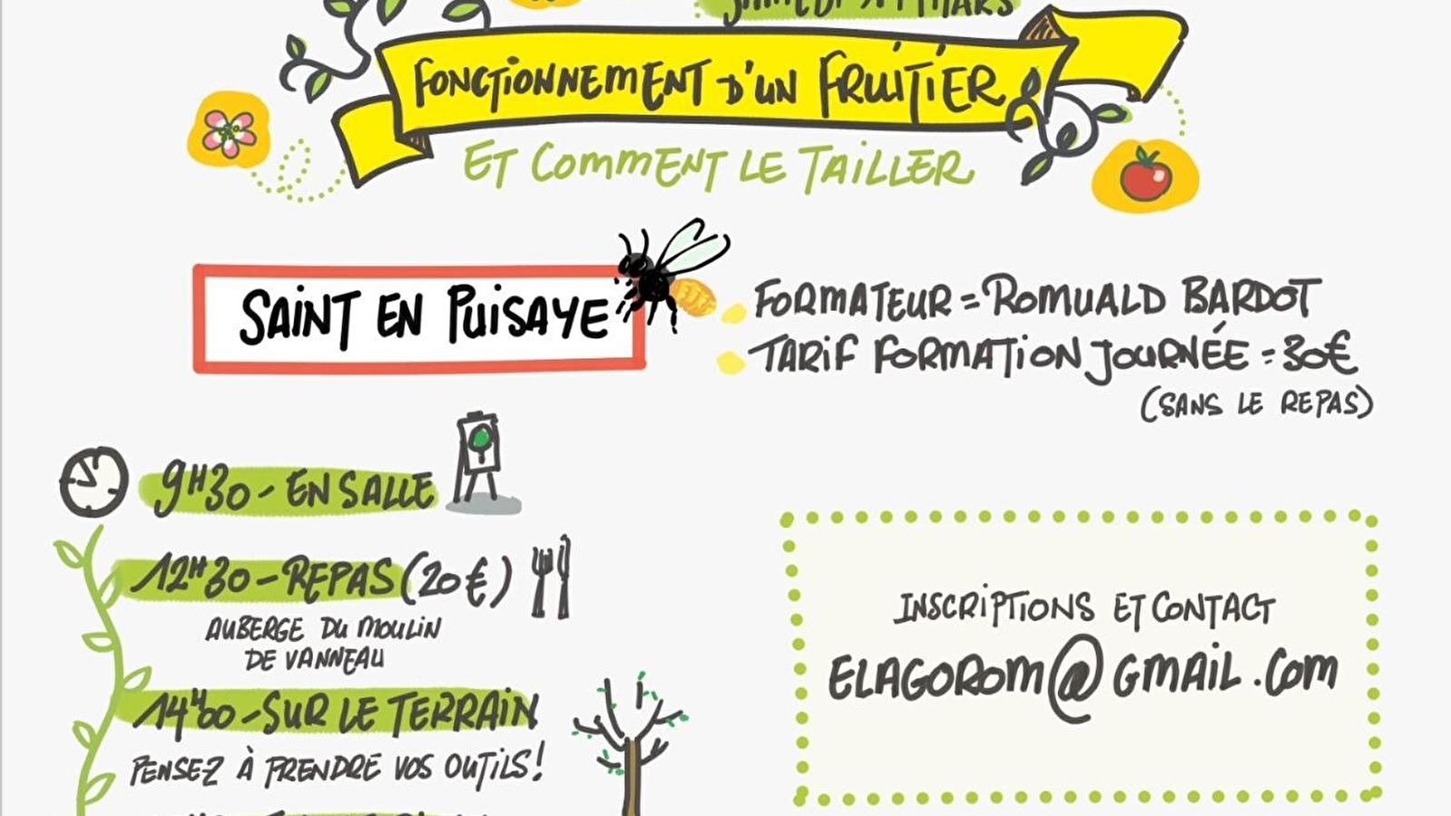 Formation à la taille d'un arbre fruitier